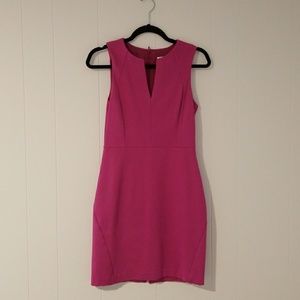 Trina Turk Raspberry Sheath Dress
